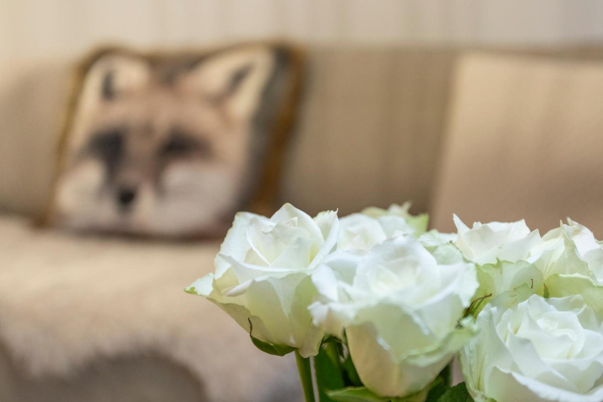 Vasko Luxurious Suites, Luppo Rovaniemi Buitenkant foto